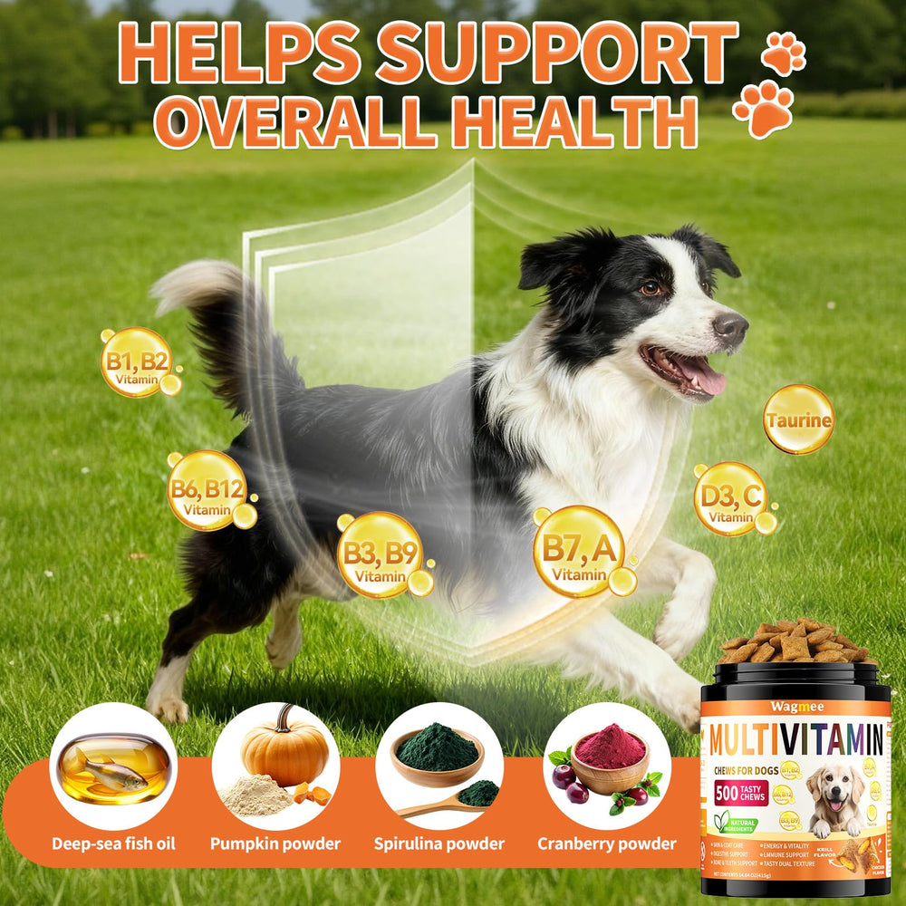 Detalle de taurina y omega-3 en Wagmee para salud general.