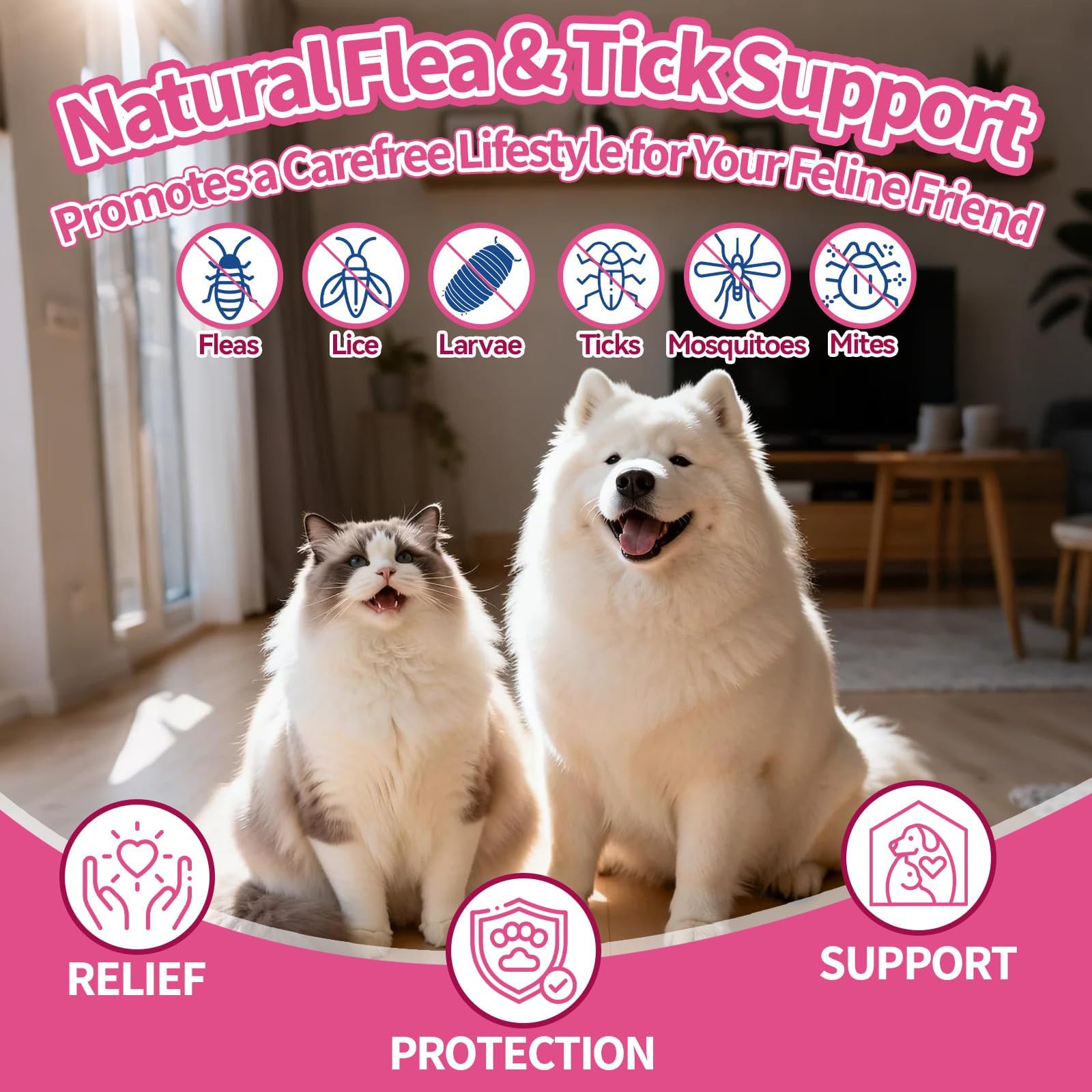 Wagmee omega-3, biotin, and vitamin E blend for skin and coat.