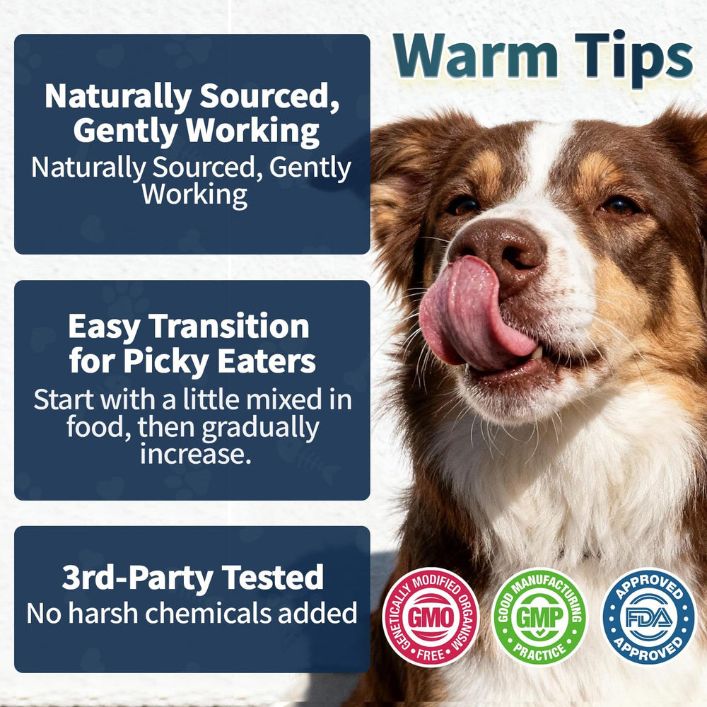 Wagmee seasonal flea and tick care illustration for peak season support.