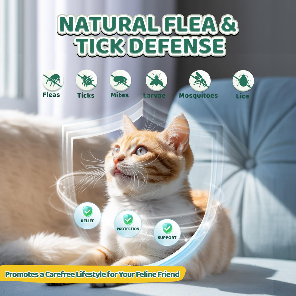 Wagmee vitamins blend supports healthy skin and coat.
