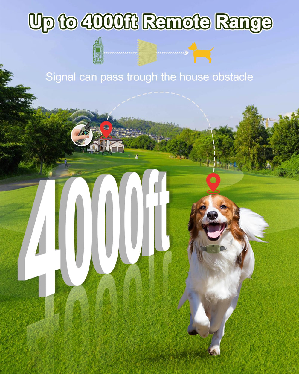 Wagnation remote shows vibration levels for calm behavior training.