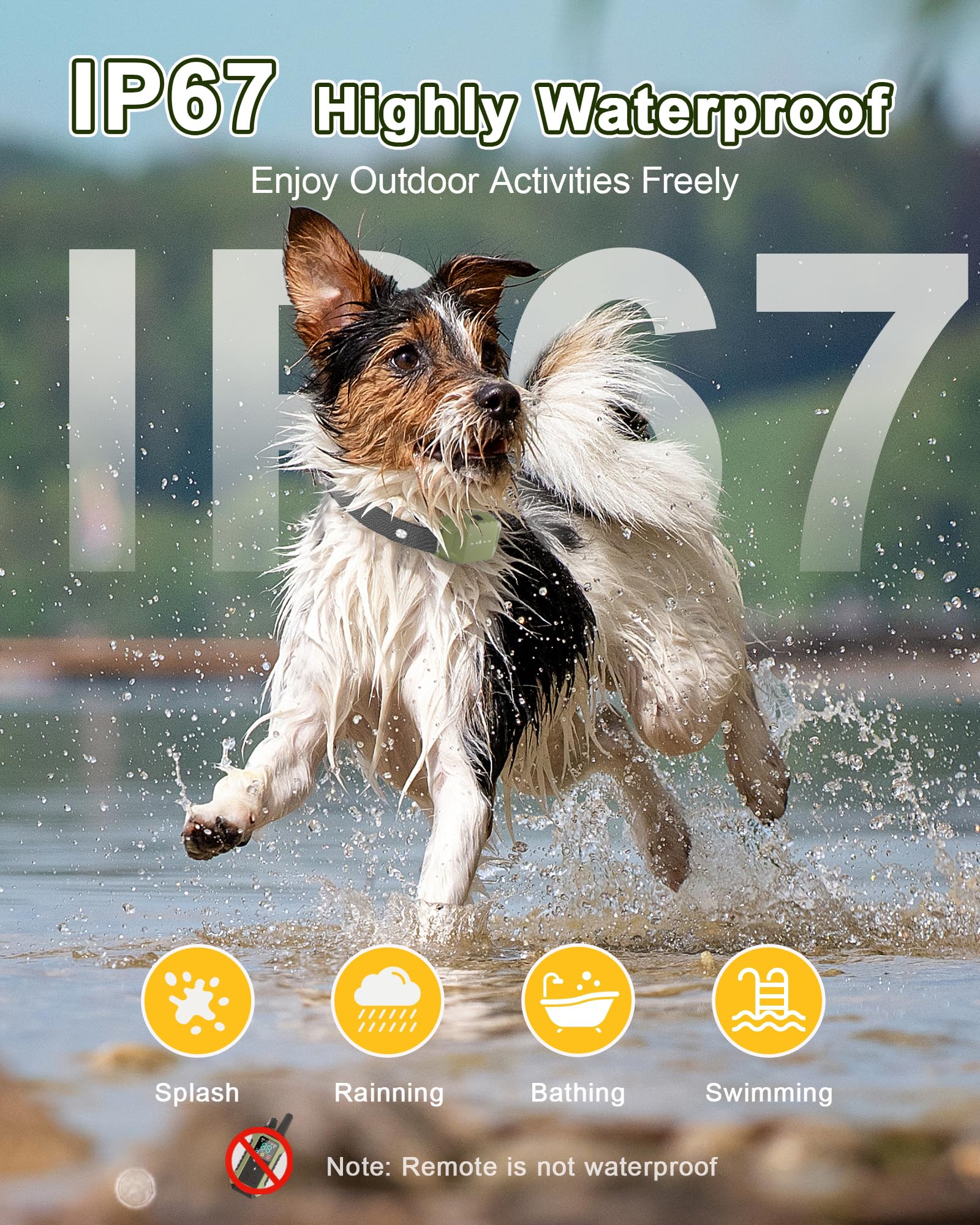 Wagnation dual-channel design trains two dogs simultaneously.