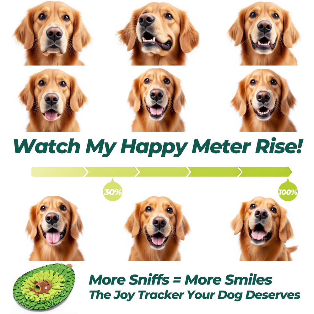 Wagorific Snuffle Mat Avocado Pal enrichment scene highlights interactive play benefits.