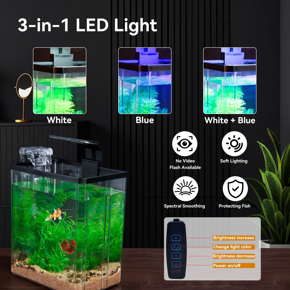 Wagrvuy beginner guide included for confident small tank setup.