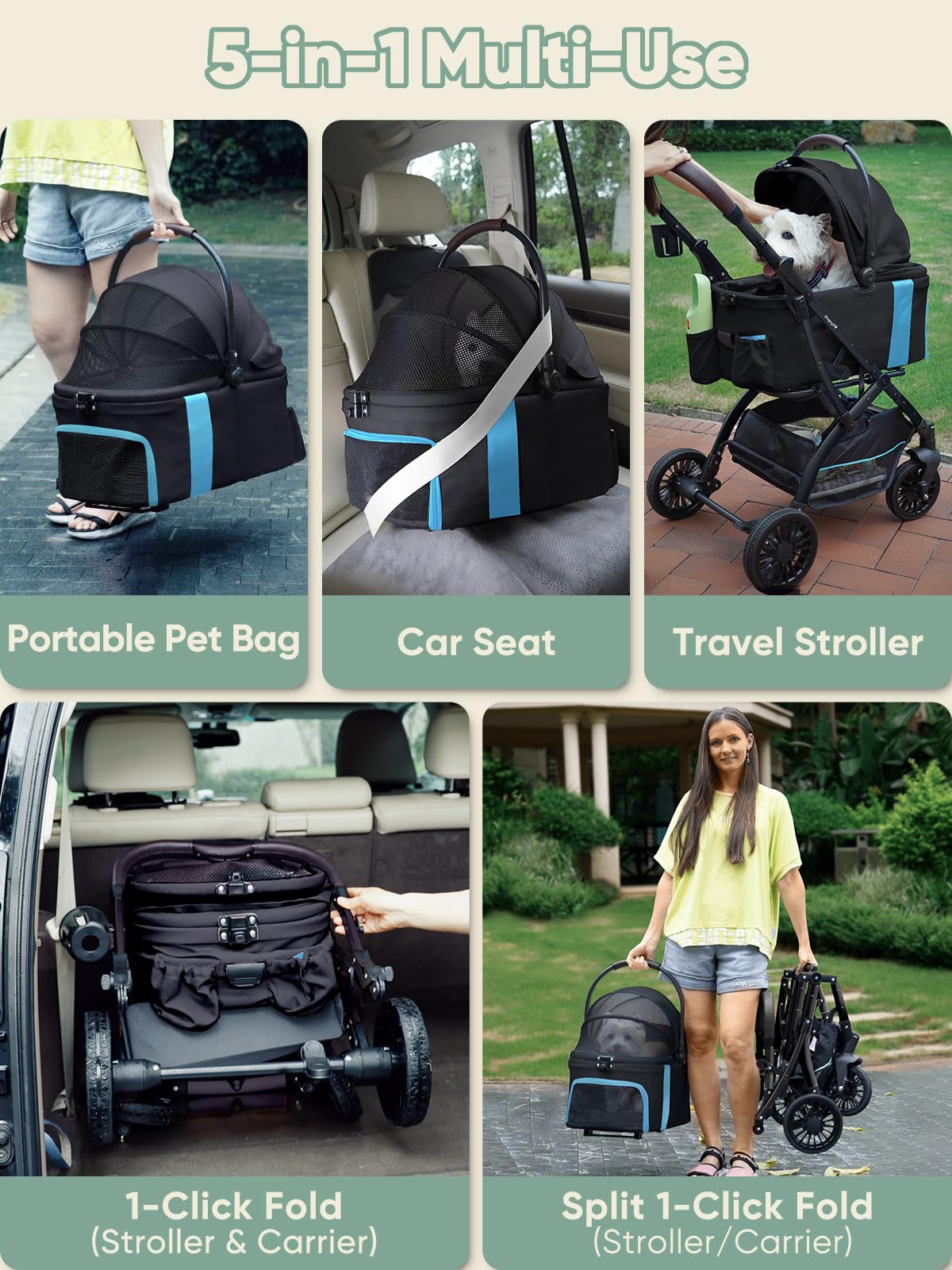 WagvyGo padded interior walls ensure pet comfort during rides