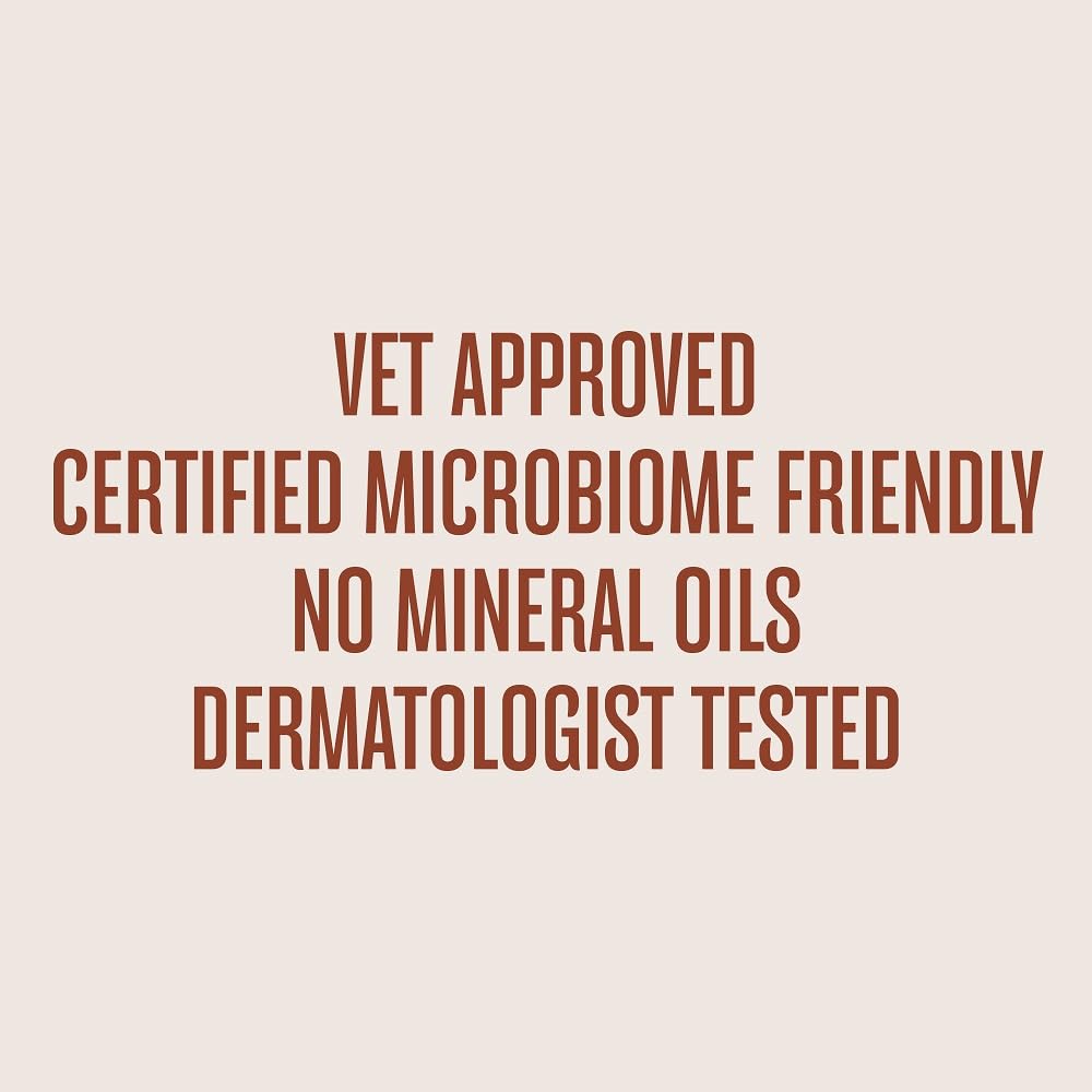 WagWell Paw Protector weather protection scene showcases paw care in snow or sand