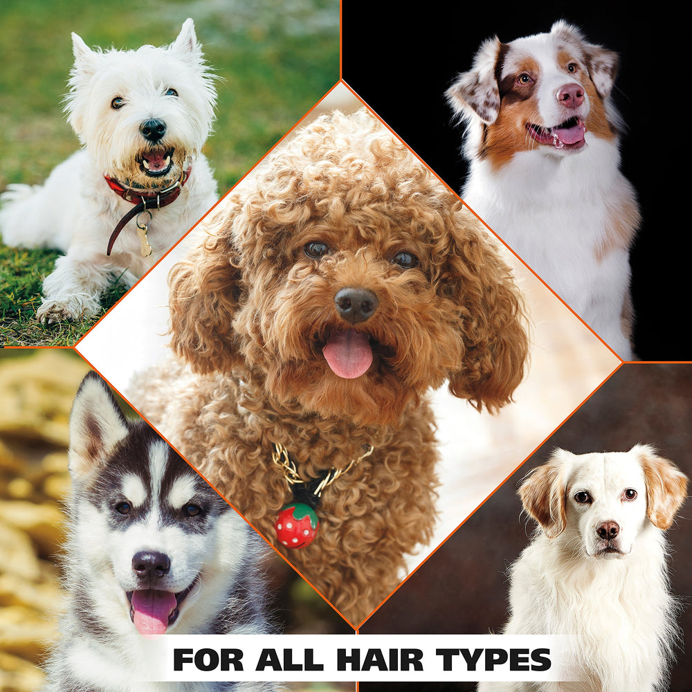 Wahl allergy-friendly shampoo for dogs with sensitivities.