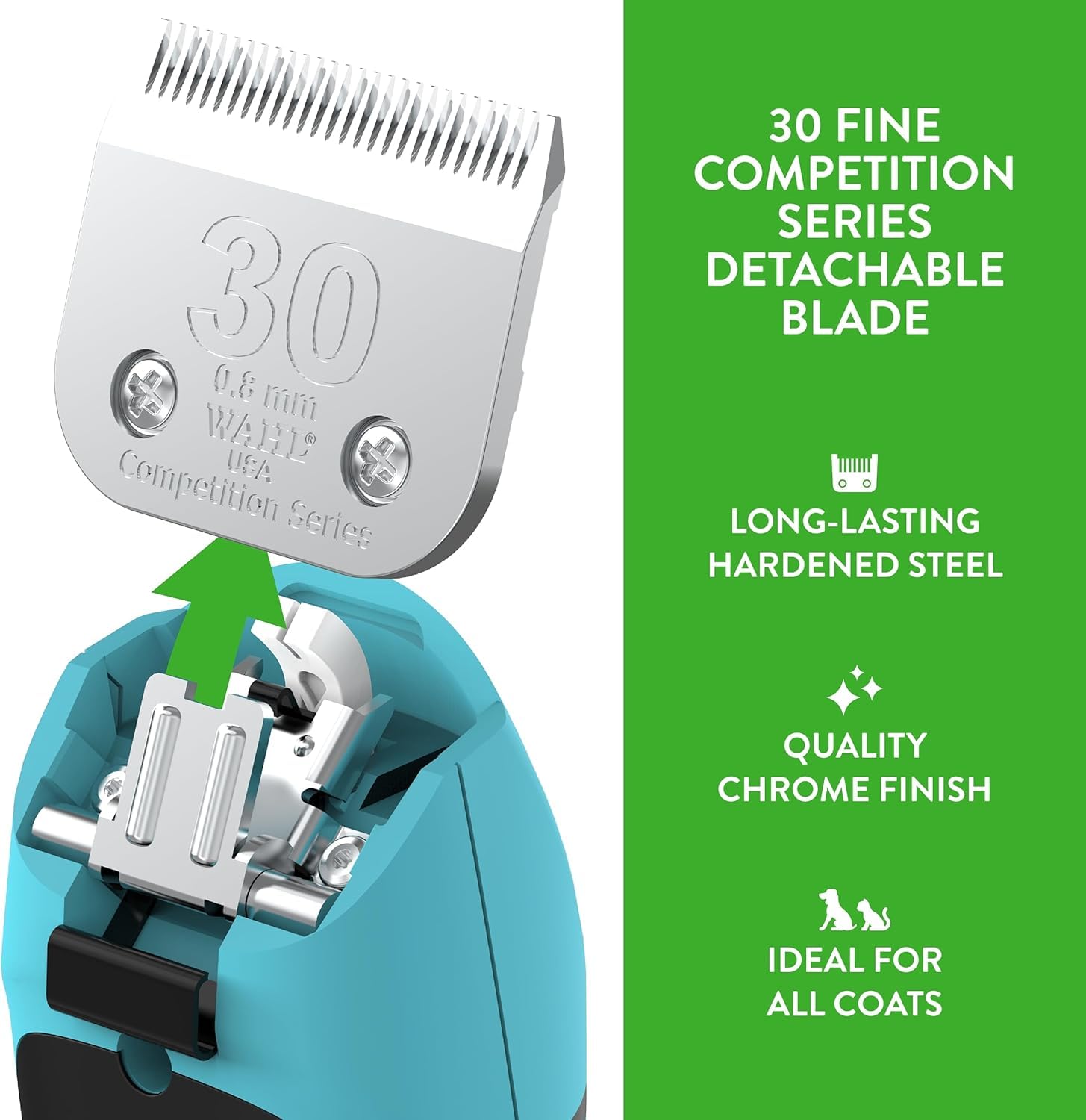 Wahl grooming dogs with fine blade achieves show-ready coats.