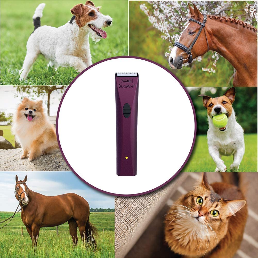 Wahl BravMini+ trimming horses and livestock muzzles and ears