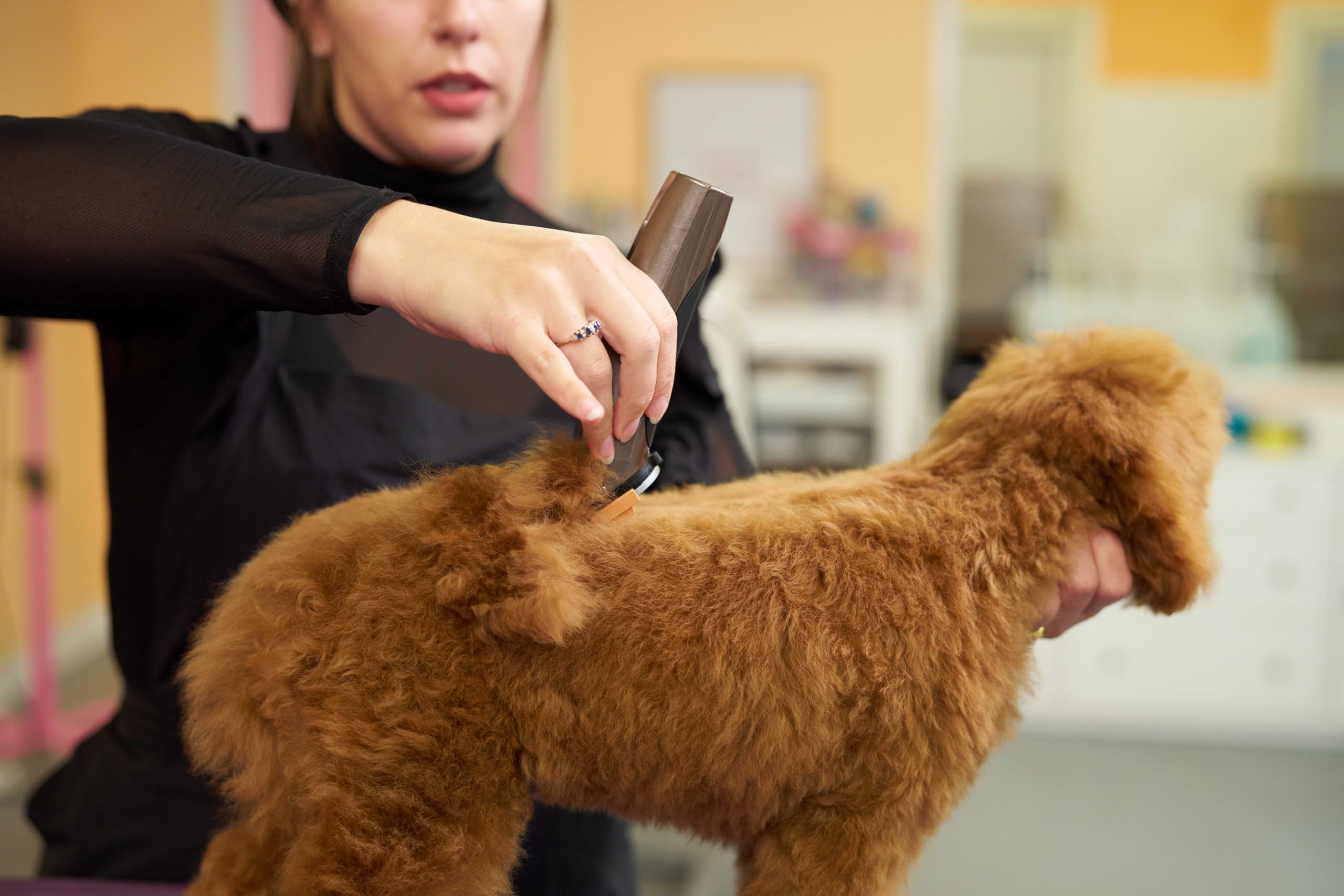 Wahl Bravura soft storage case for tidy grooming tools.