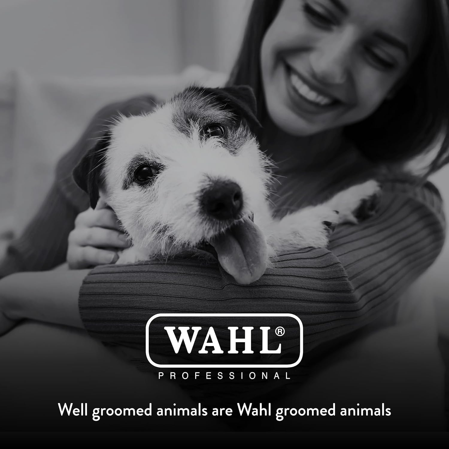 Wahl clipper assembly provides balanced handling for steady grooming sessions.