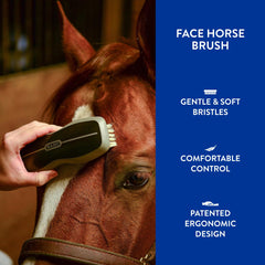 Wahl horse-face brush with ergonomic design held in hand