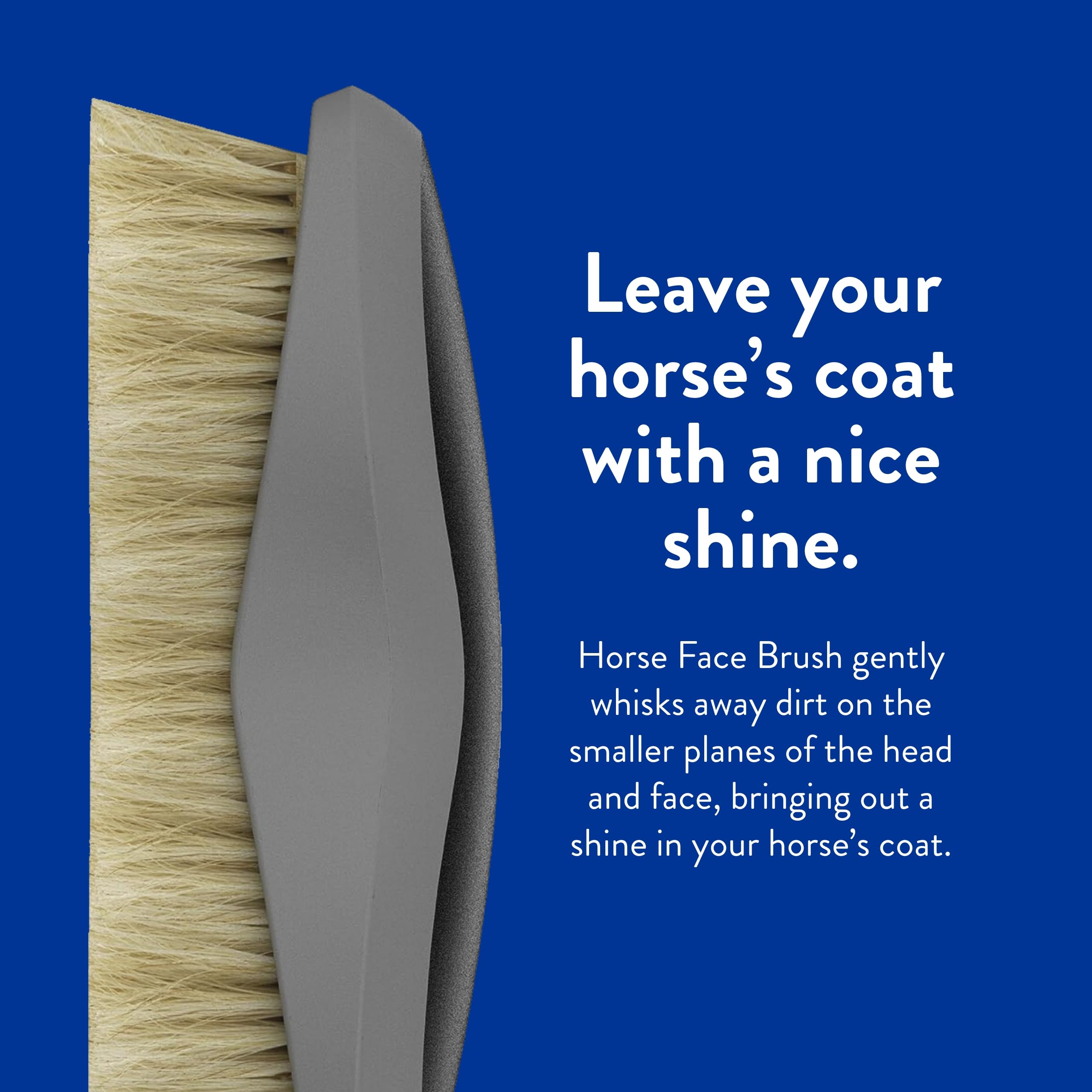 Wahl horse-face brush demonstrates even brushing for coat health