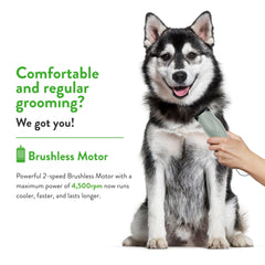Wahl KMC+ detachable blade system supports easy blade changes