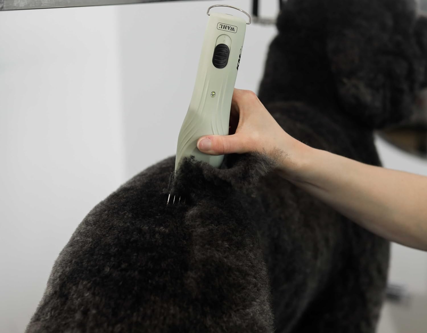 Wahl KMC+ kit suited for horses and livestock body clipping