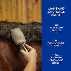 Wahl Mane Tail Brush detangles mane for braiding and show-prep sessions.