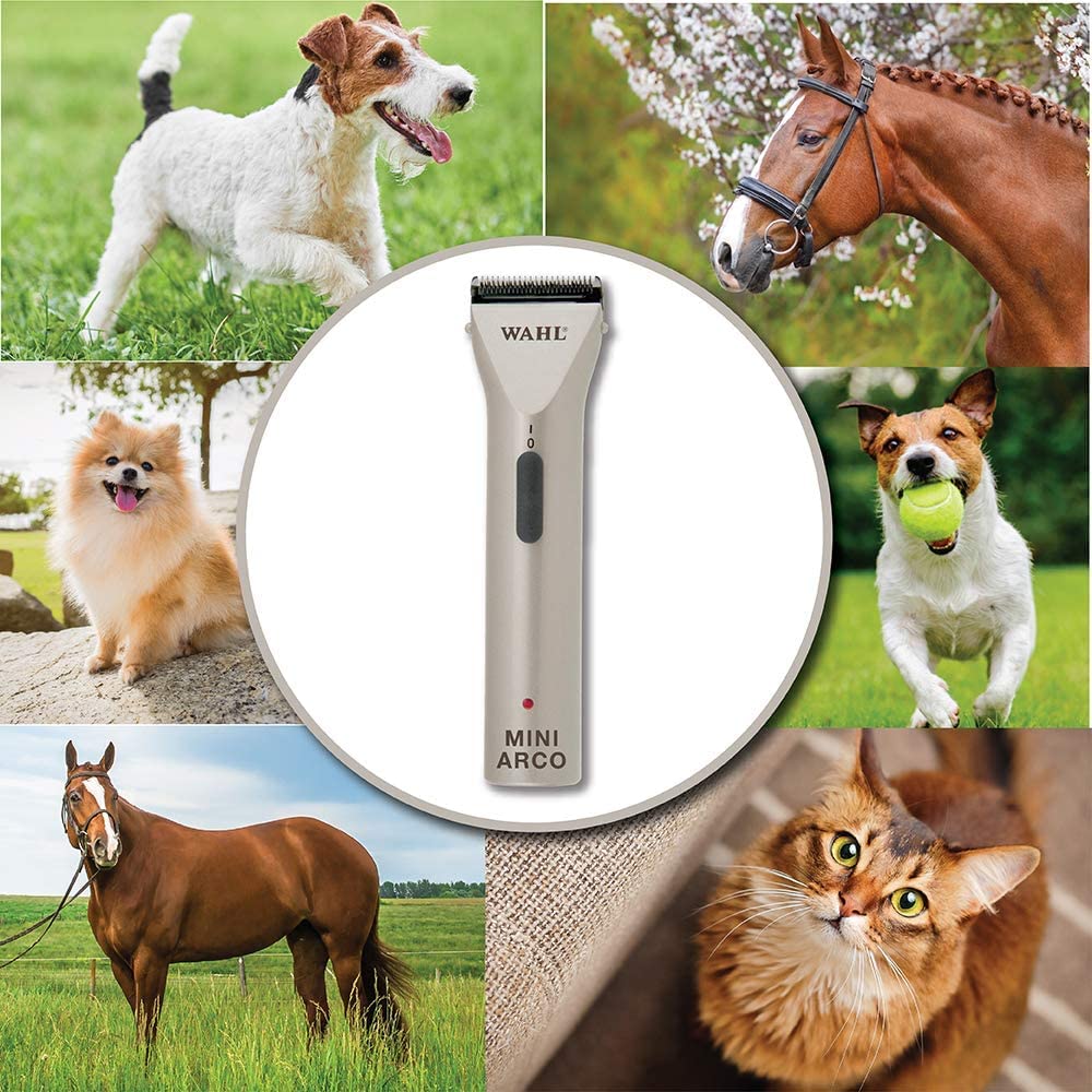 Wahl MiniArco kit package shows complete grooming setup