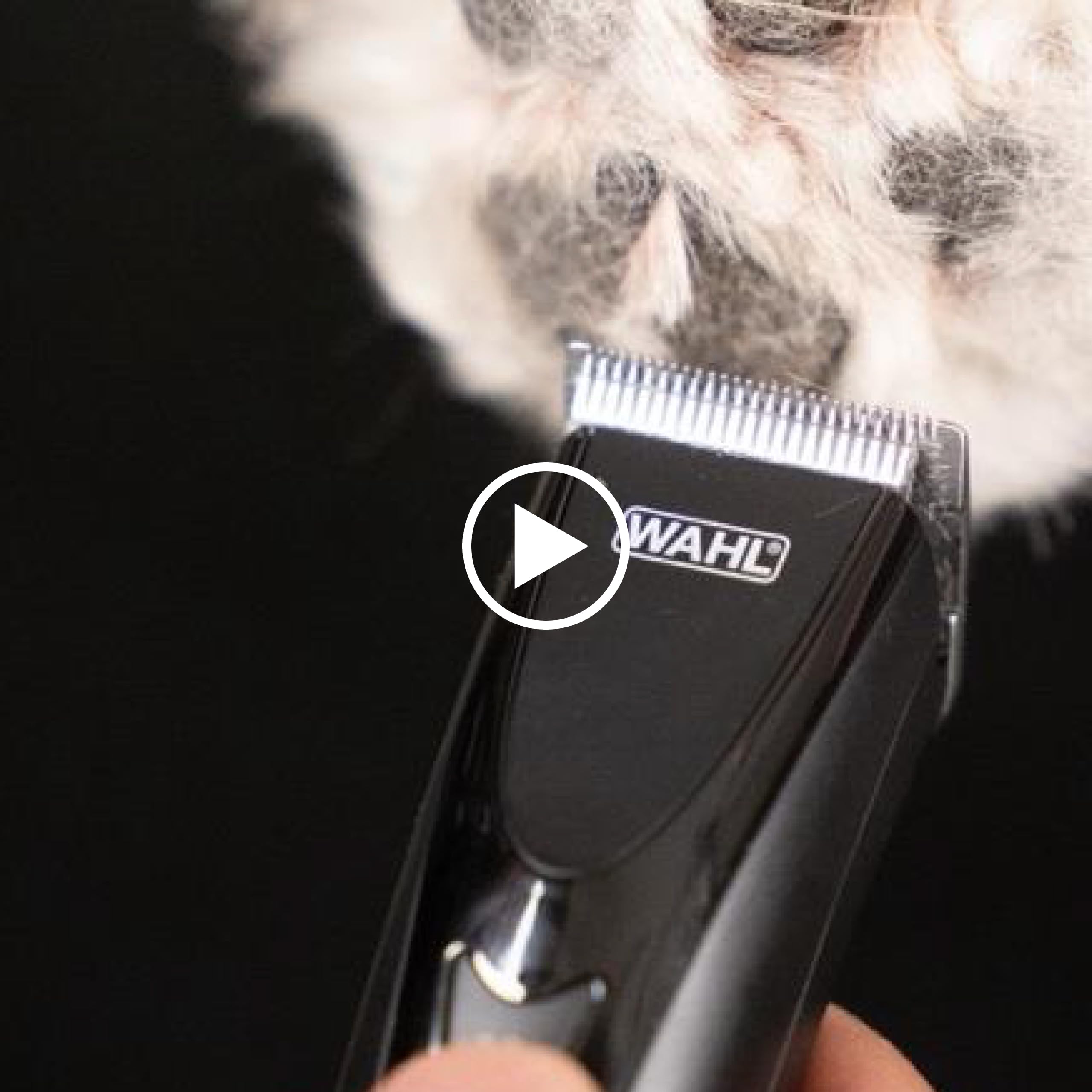 Fidela includes 3 guide combs for versatile trimming options.