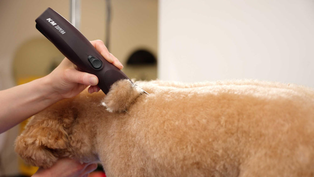 Wahl Pro Animal KM Supera brand heritage emphasizes precision tools trusted by professionals