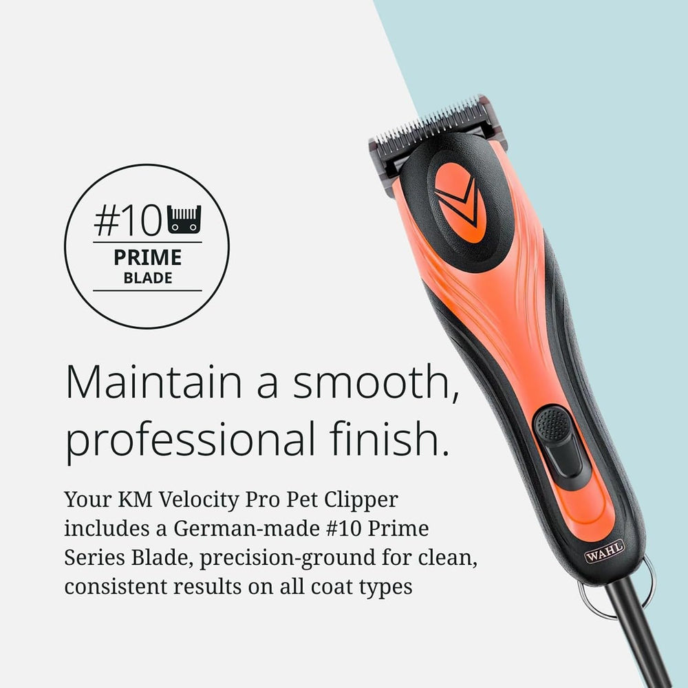 Wahl Pro Animal KM Velocity horse clipping in a stable setting