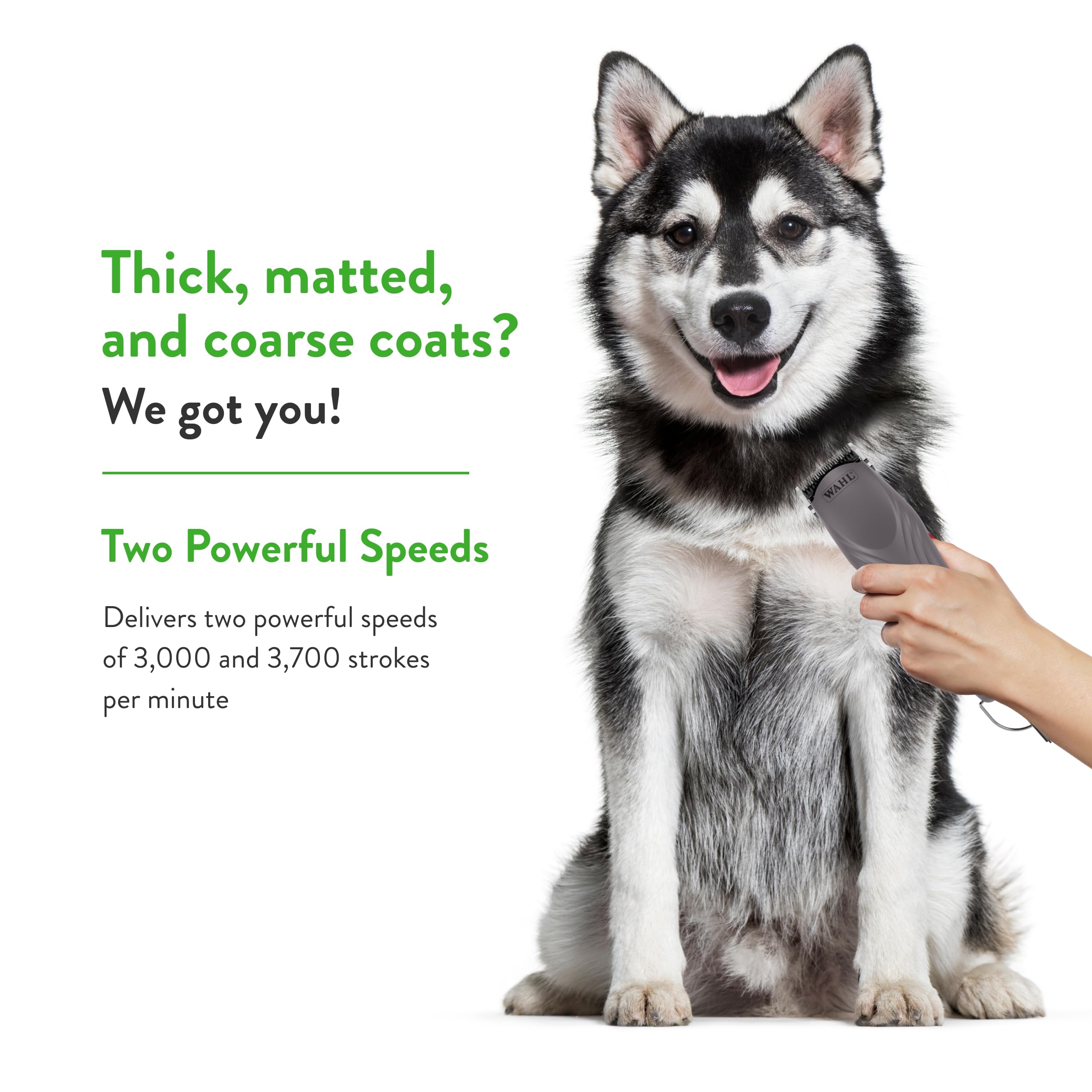 Wahl Pro Animal KM10+ corded design ensures constant power for thick coats.
