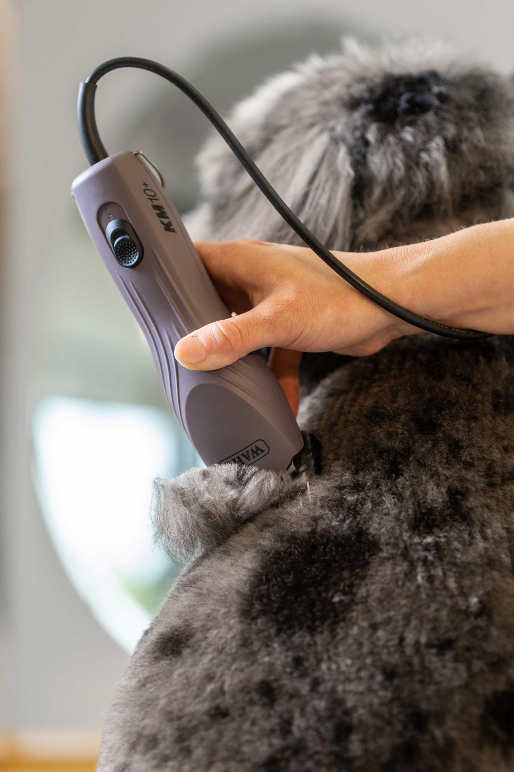 Wahl Pro Animal KM10+ legacy of trust and precision for pros.