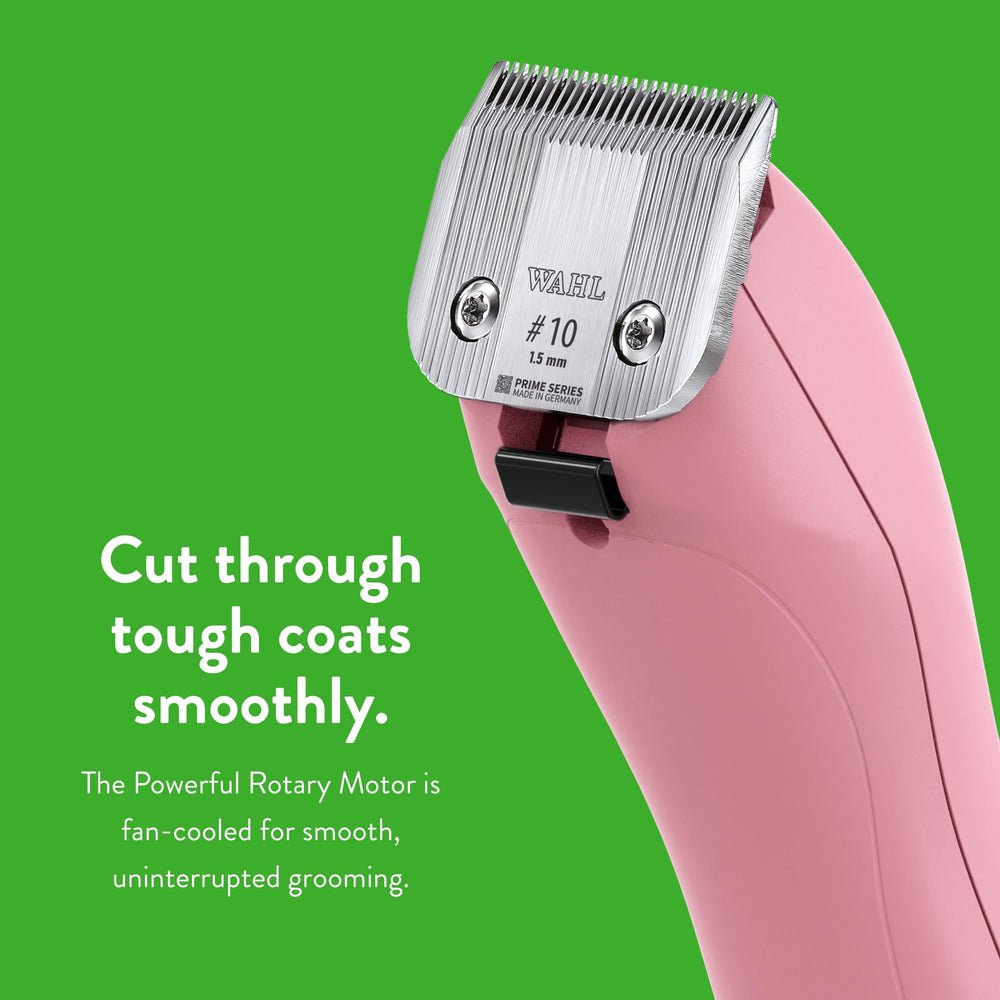 Wahl Pro Animal KM2+ quiet operation and low vibration improve grooming comfort.
