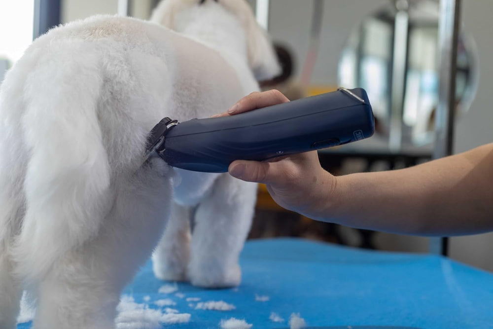 Wahl KMC+ ergonomic housing reduces hand fatigue during long grooming sessions.
