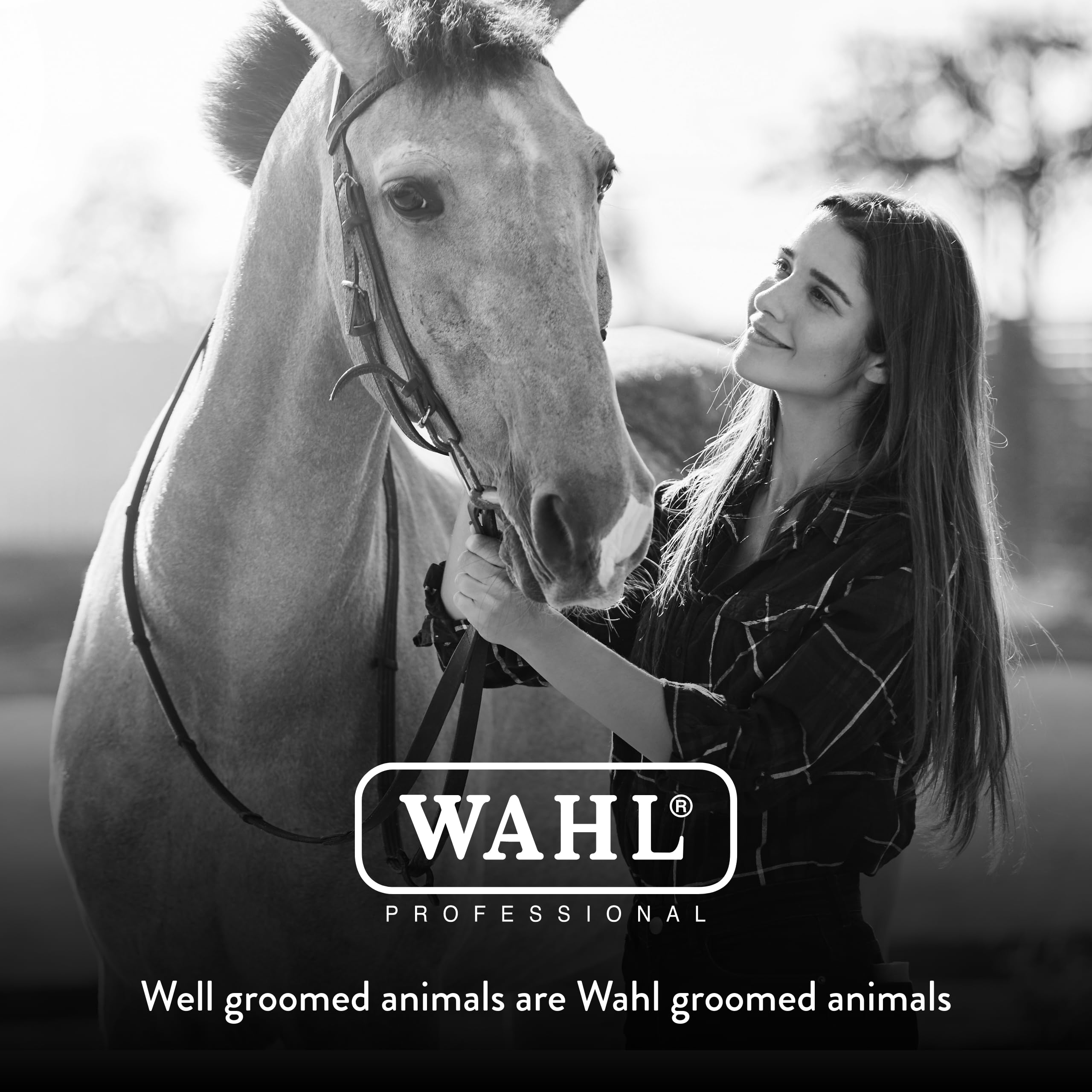 Wahl Stiff Body Horse Brush supports regular grooming for a well-kept coat.