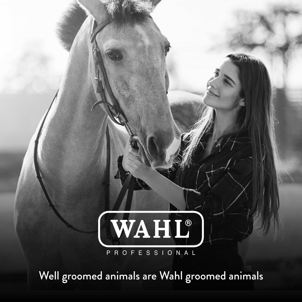 Wahl Stiff Body Horse Brush supports regular grooming for a well-kept coat.