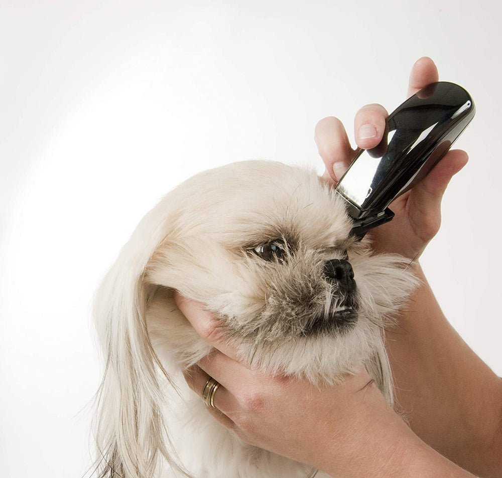 Wahl Super Pocket Pro kit contents arranged for easy use