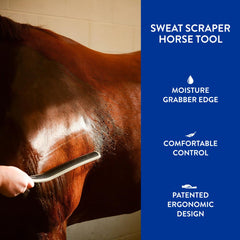 Wahl sweat scraper in action on horse coat demonstrates moisture removal