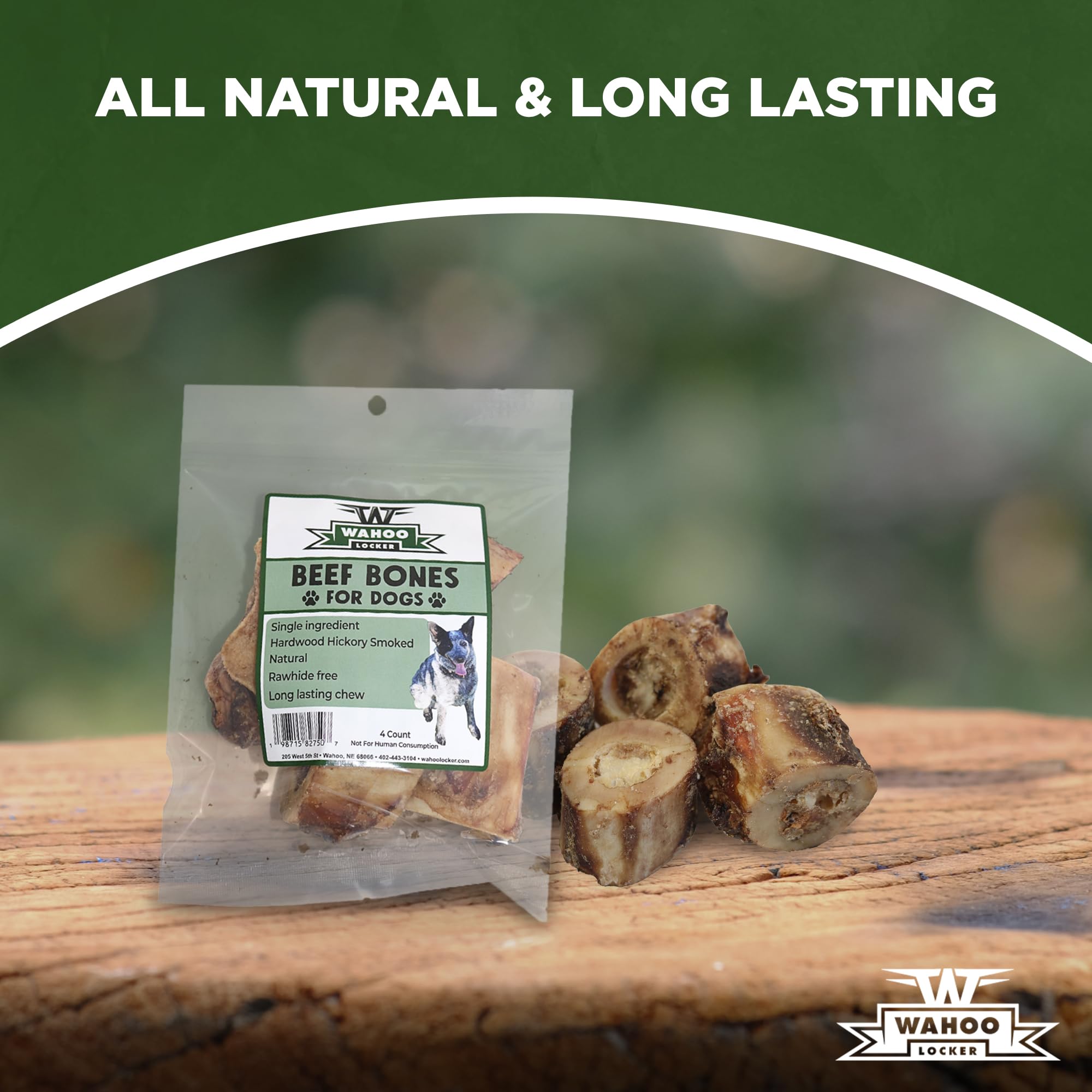 W WAHOO LOCKER dog enjoying a smoked beef bone in a calm setting
