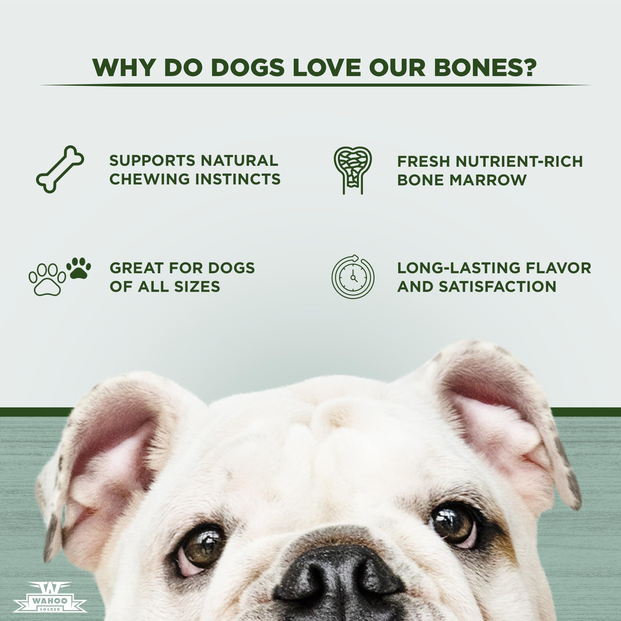 W WAHOO LOCKER bone texture closeup showing natural look and flavor