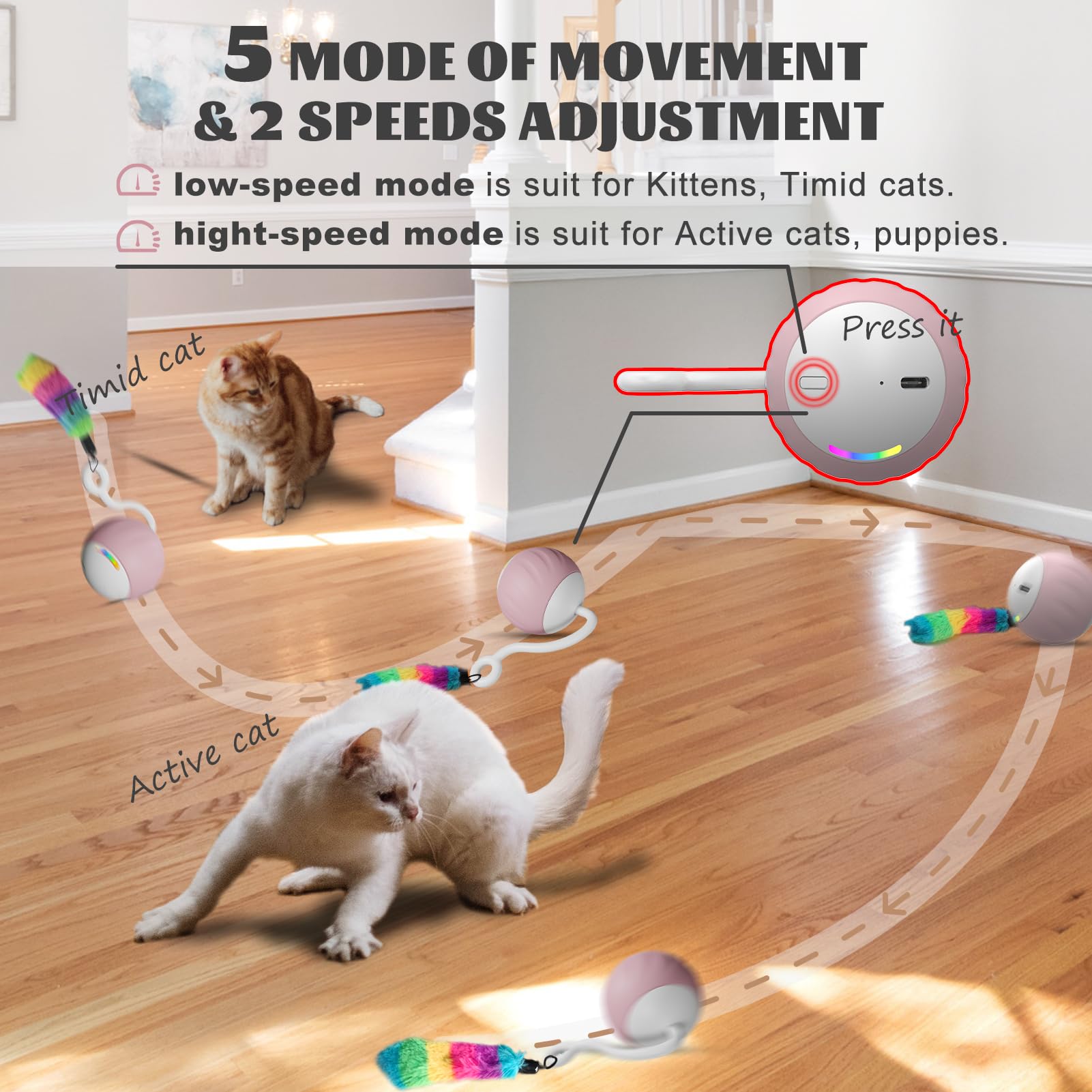 WAKHJAKT DIY 5-in-1 interchangeable heads keep cats curious and engaged