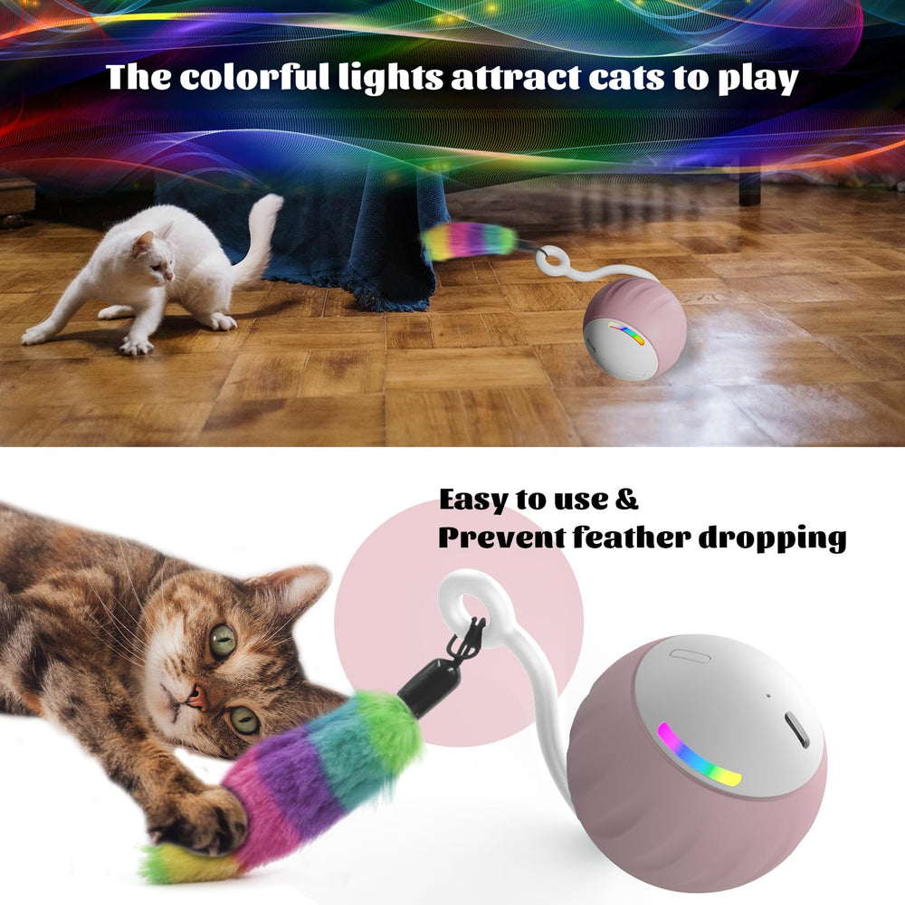 WAKHJAKT two-speed modes adapt to active or calm cats