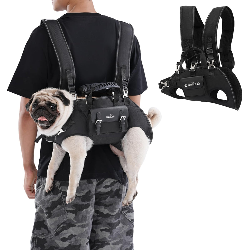 Wakytu dog backpack carrier front view for secure, hands-free outings.