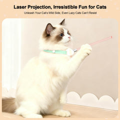 Walfront adjustable collar for 9-13 inch cats highlights secure fit during energetic play
