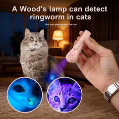 Walfront cat toys color modes in red purple white visible during play sessions.