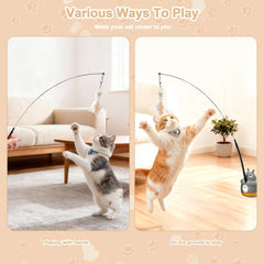 Walfront peel-stick base securely attaches for hands-free play