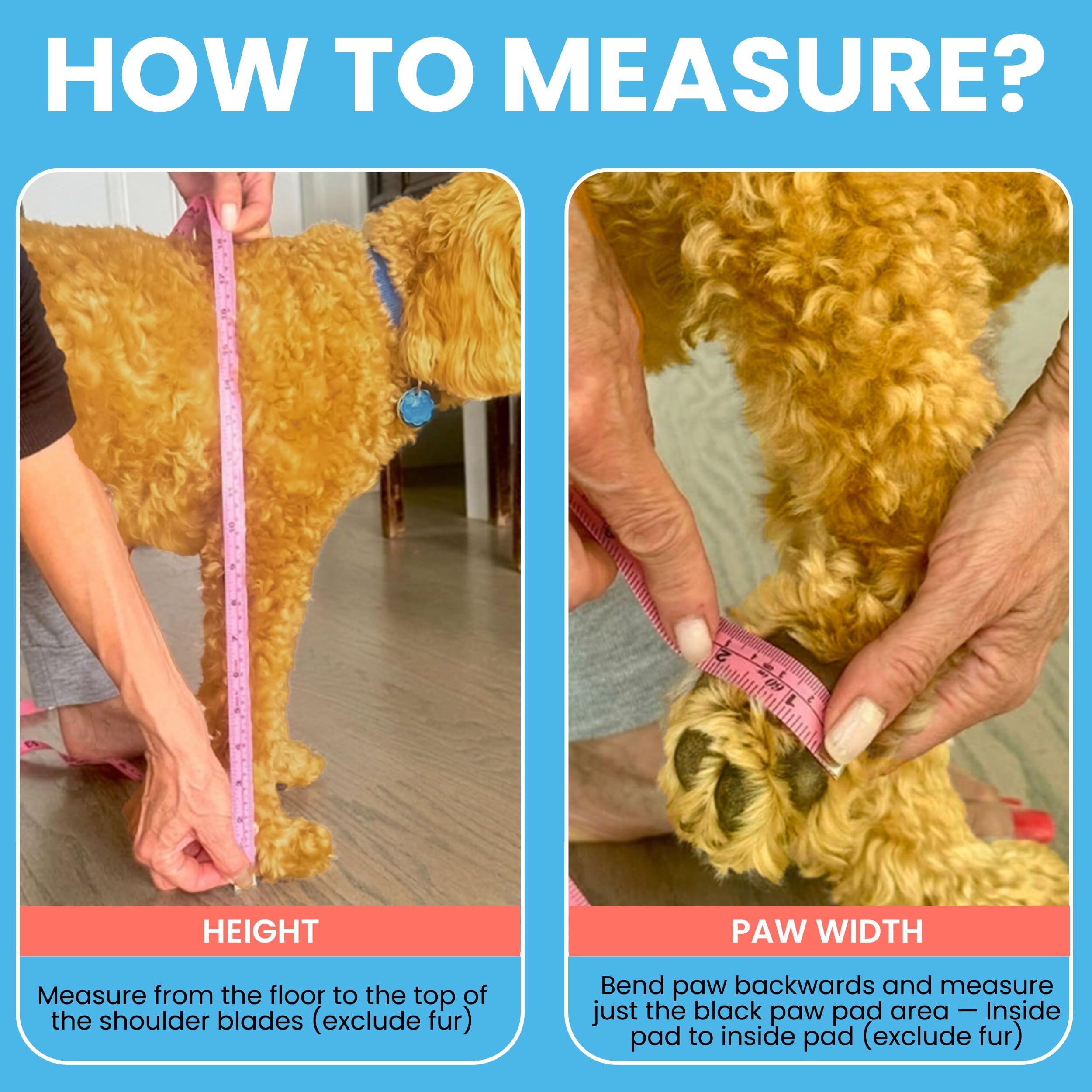 Walkee Paws adjustable straps adapting to a dog's shape for comfort.