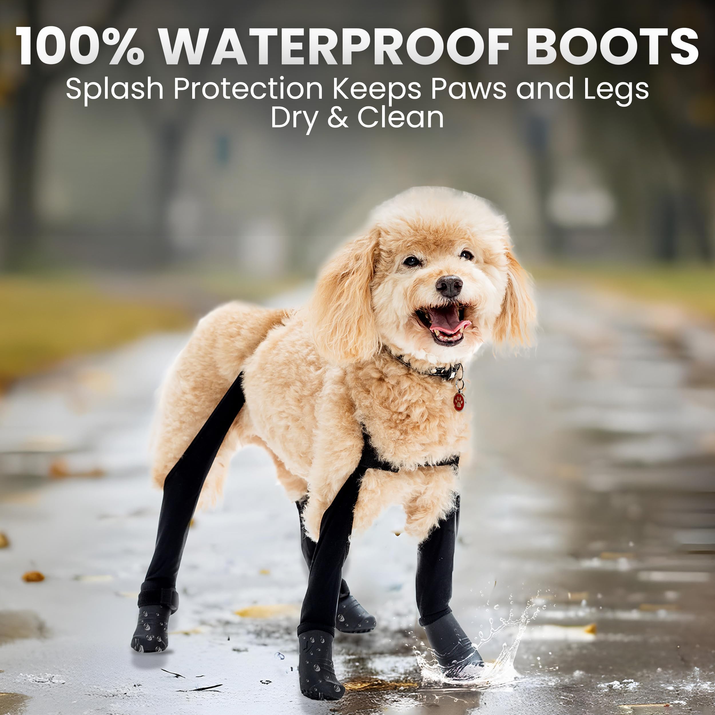 Walkee Paws back-boot-straps add extra security when needed.