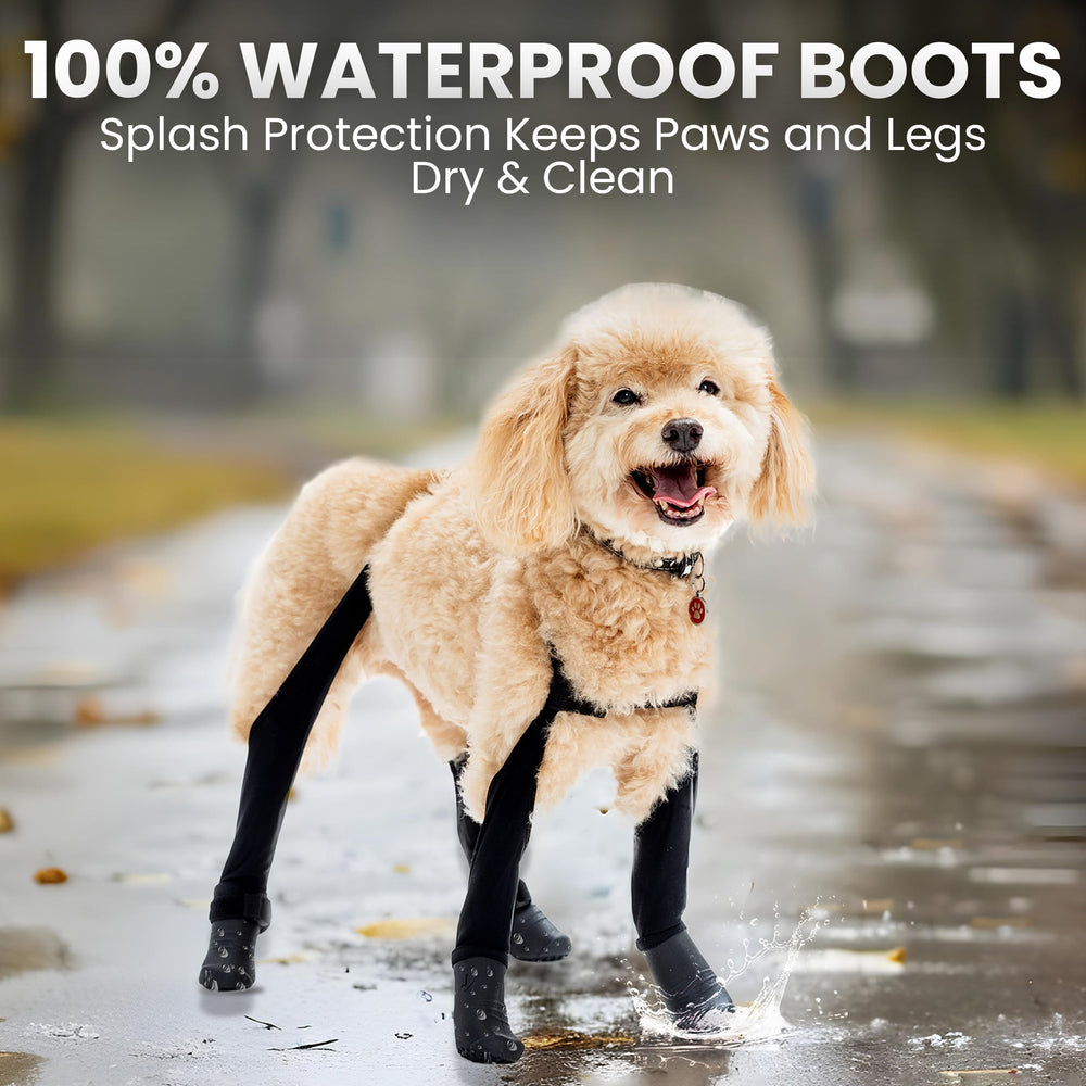 Walkee Paws back-boot-straps add extra security when needed.