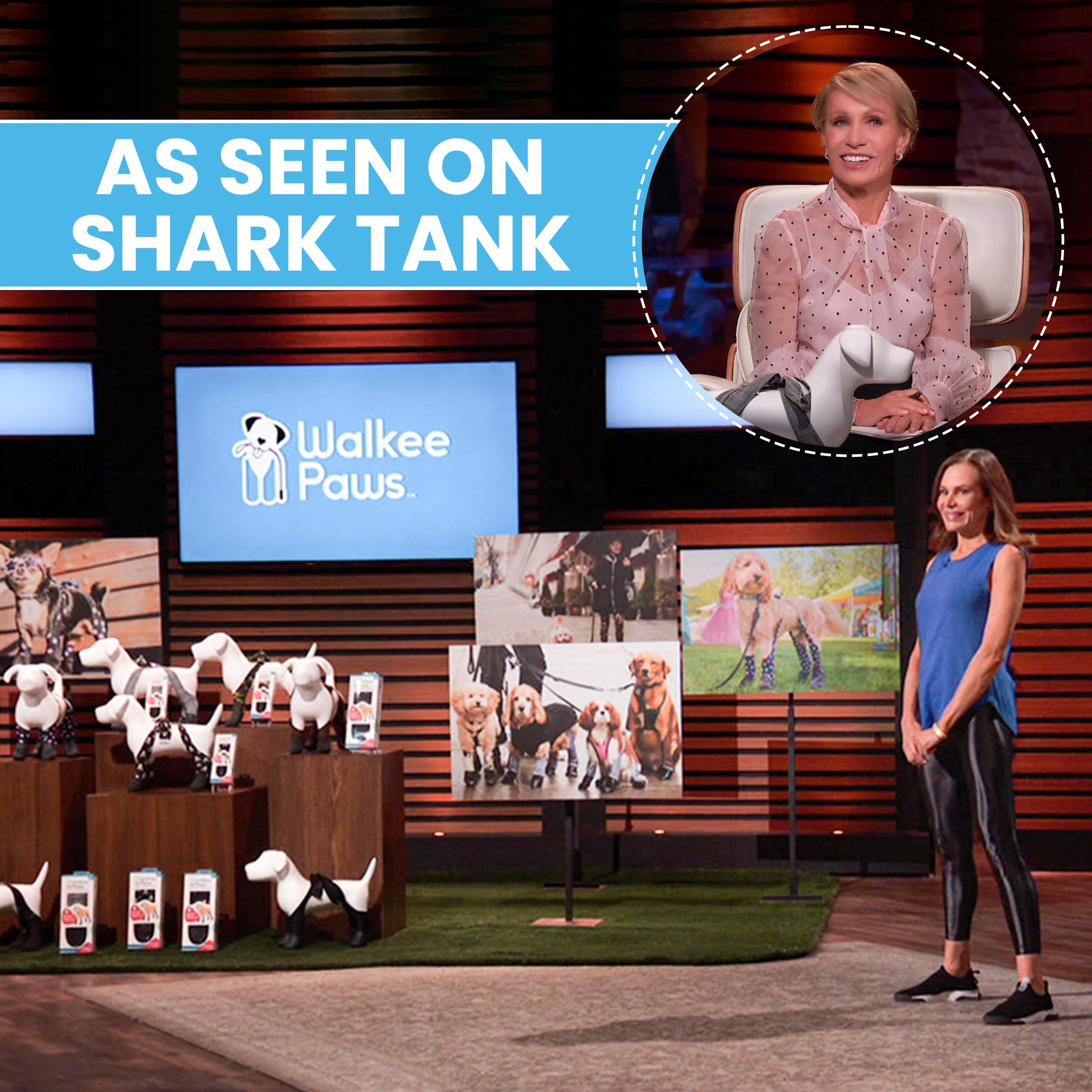 Walkee Paws back-strap Velcro offers added security for larger sizes during hikes.