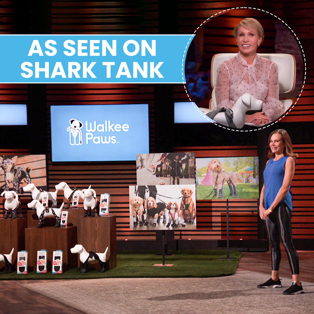 Walkee Paws back-strap Velcro offers added security for larger sizes during hikes.