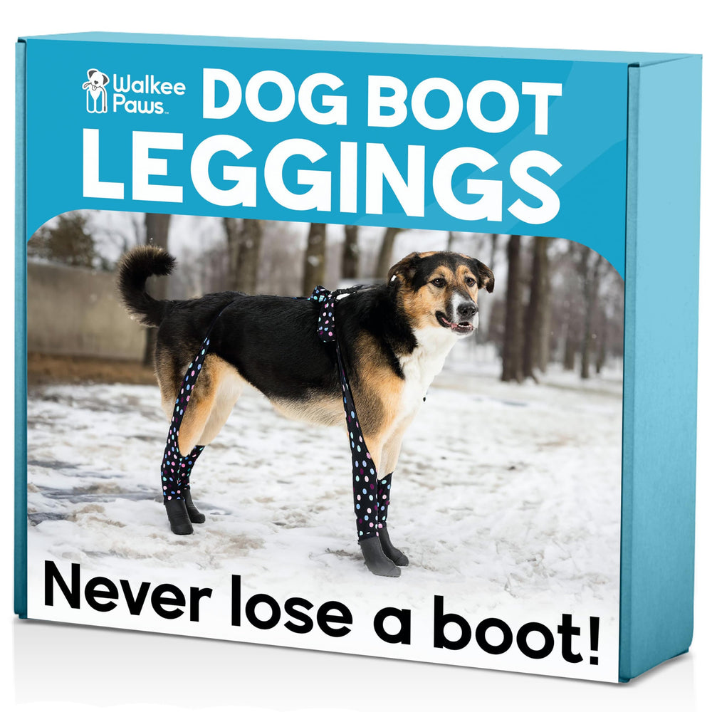 Walkee Paws connected boots on a dog protect paws during muddy walks.