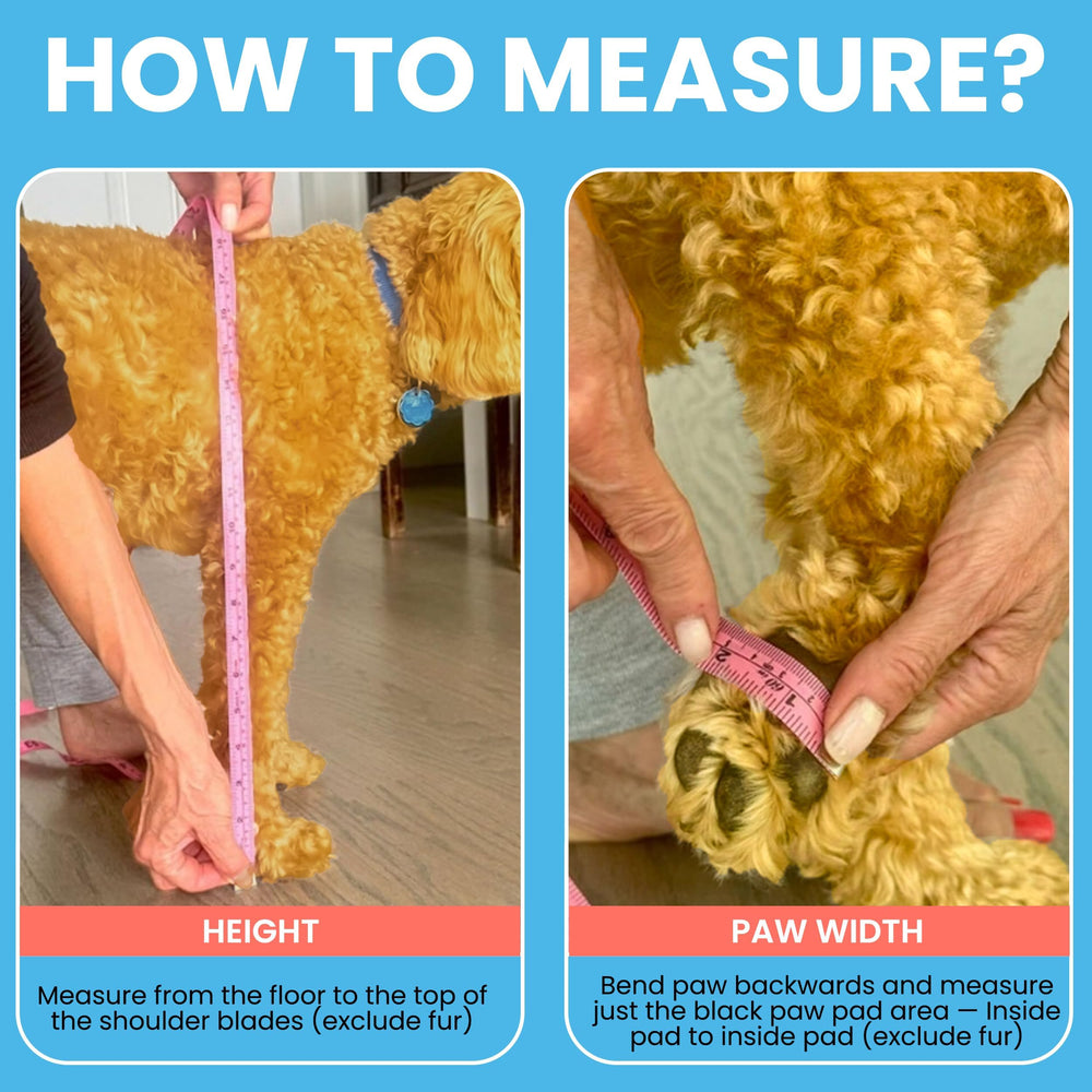 Walkee Paws lab-tested-minus-40f-winter-protection shows cold-weather durability.