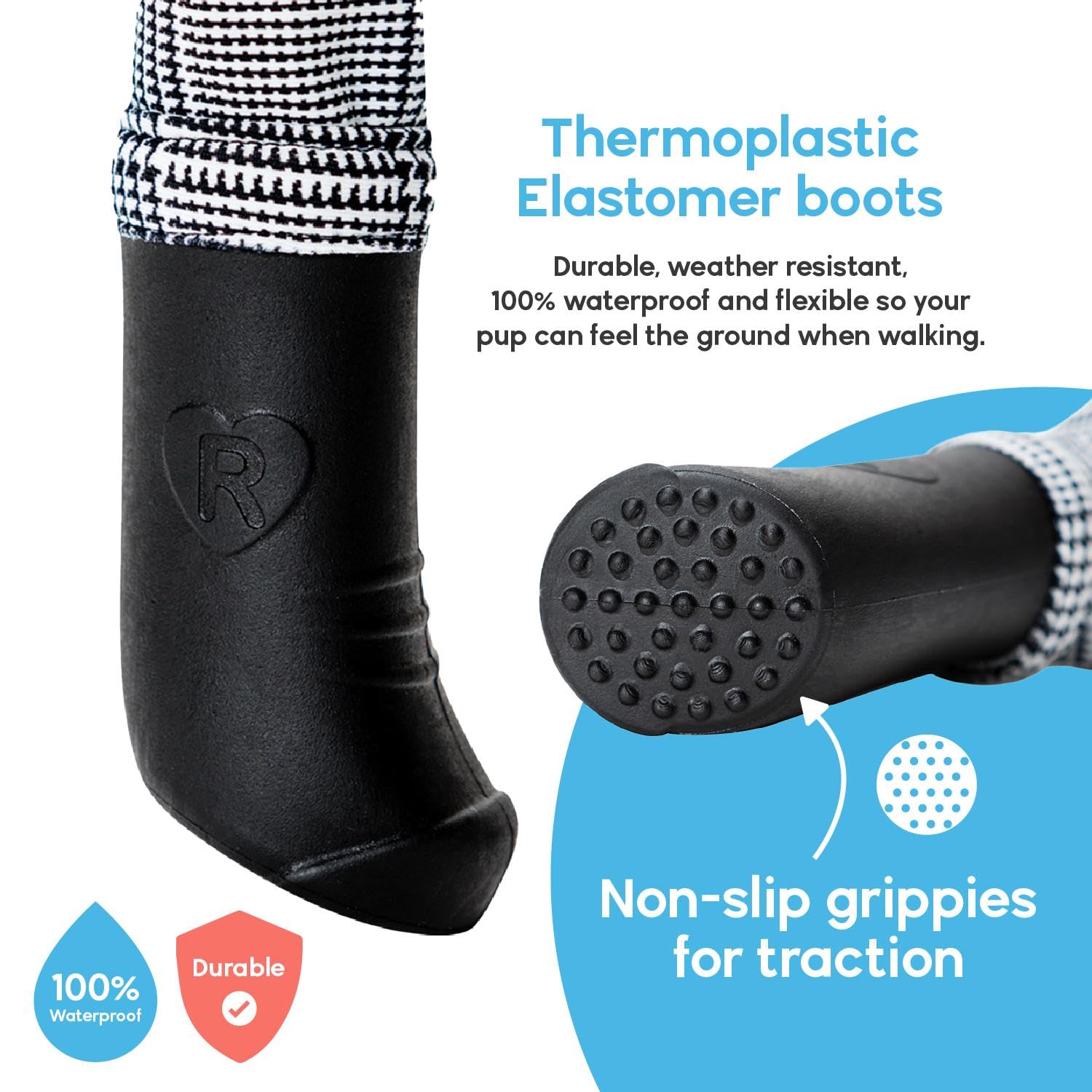 Walkee Paws small dog wearing boots demonstrates comfortable protection for tiny paws.