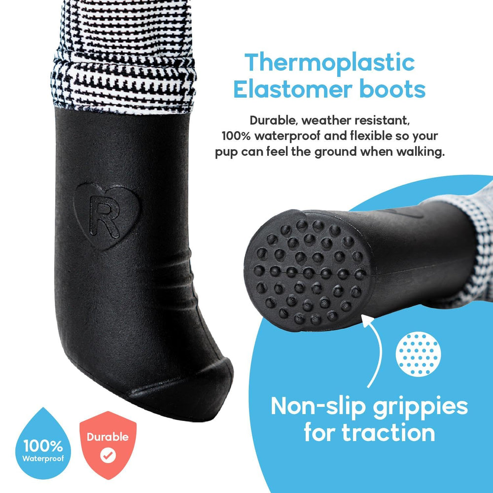 Walkee Paws small dog wearing boots demonstrates comfortable protection for tiny paws.