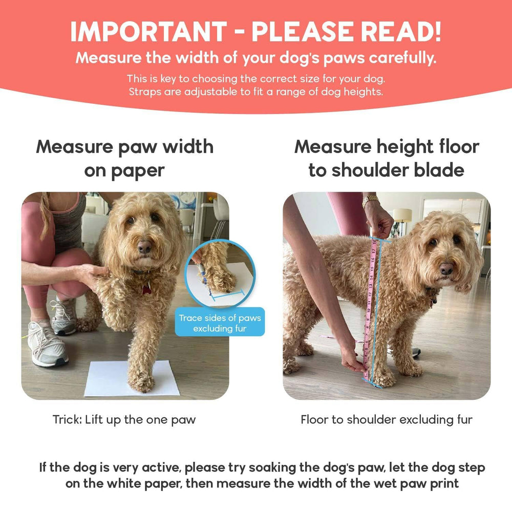 Walkee Paws twist-proof grip keeps socks in place during movement.